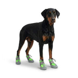 Green All Terrain Hiking Shoes on Doberman A black and tan Doberman Pinscher standing wearing lime green all terrain hiking shoes for dogs with gray straps.