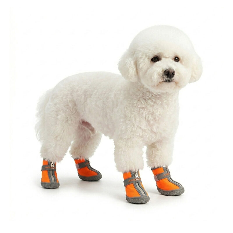 Orange All-Weather Waterproof Zipper Dog Shoes A small white Bichon Frise dog standing while wearing orange all-weather waterproof zipper dog shoes in soft shell fabric.
