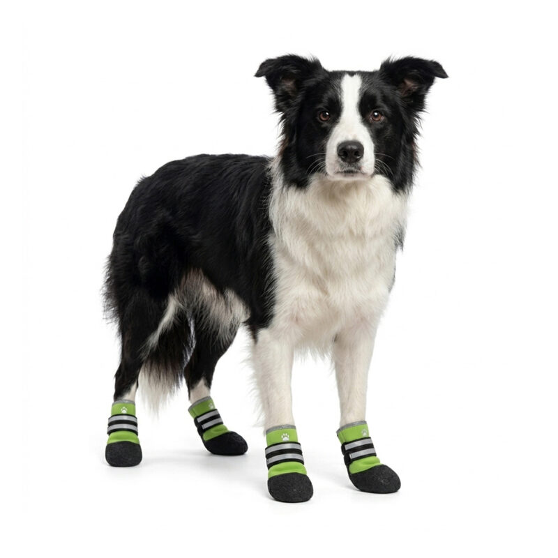 Green Anti-Slip Neoprene Dog Shoes A black and white Border Collie standing while wearing green anti-slip neoprene dog shoes with double reflective straps.
