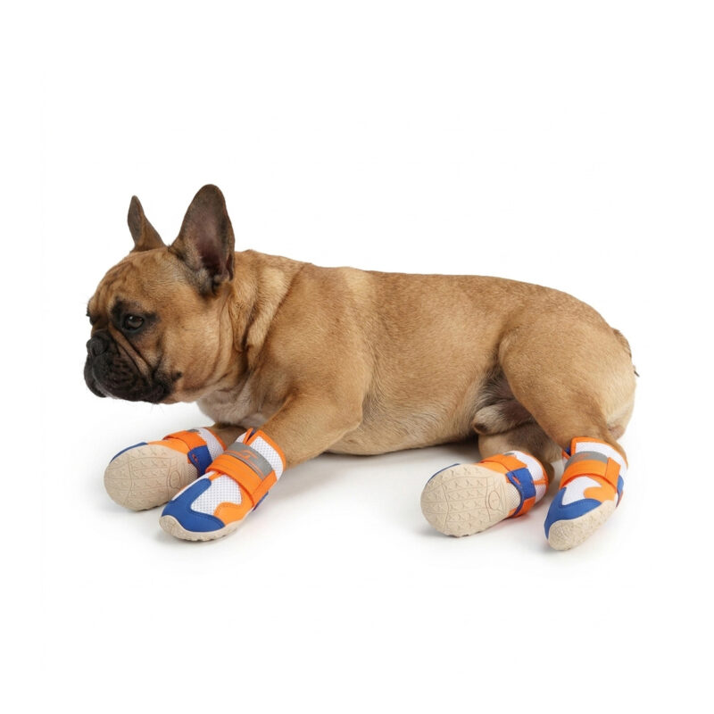 Orange Anti-Slip Rubber Sole Dog Shoes A fawn French Bulldog lying down wearing vibrant orange and blue anti-slip rubber sole dog shoes.
