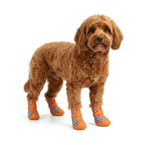 Blue and Orange Anti-Slip TPR Sole Pet Shoes A brown curly dog standing wearing blue and orange checker print anti-slip tpr sole pet shoes.