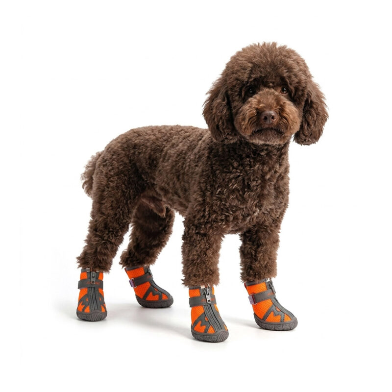 Orange Breathable Mesh Hot Pavement Zipper Dog Shoes A brown Poodle standing while wearing orange breathable mesh shoes for hot pavement with anti slip rubber sole protection.