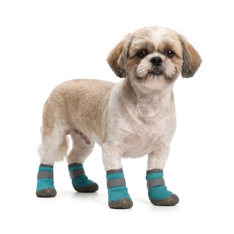 A tan and white Shih Tzu standing wearing ocean teal breathable mesh shoes for small dogs with grey outsoles.