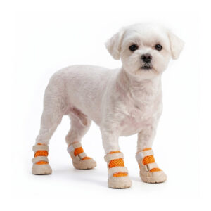 A white Maltese dog standing on a white background wearing tangerine orange breathable soft-sole dog shoes.