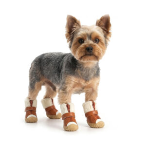 A small Yorkshire Terrier dog standing on a white background wearing mocha brown cute faux fur warm dog shoes.