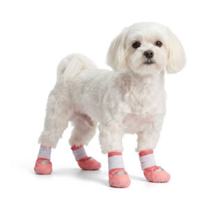 A small white Maltese dog standing on a white background wearing cute pink breathable mesh dog shoes.