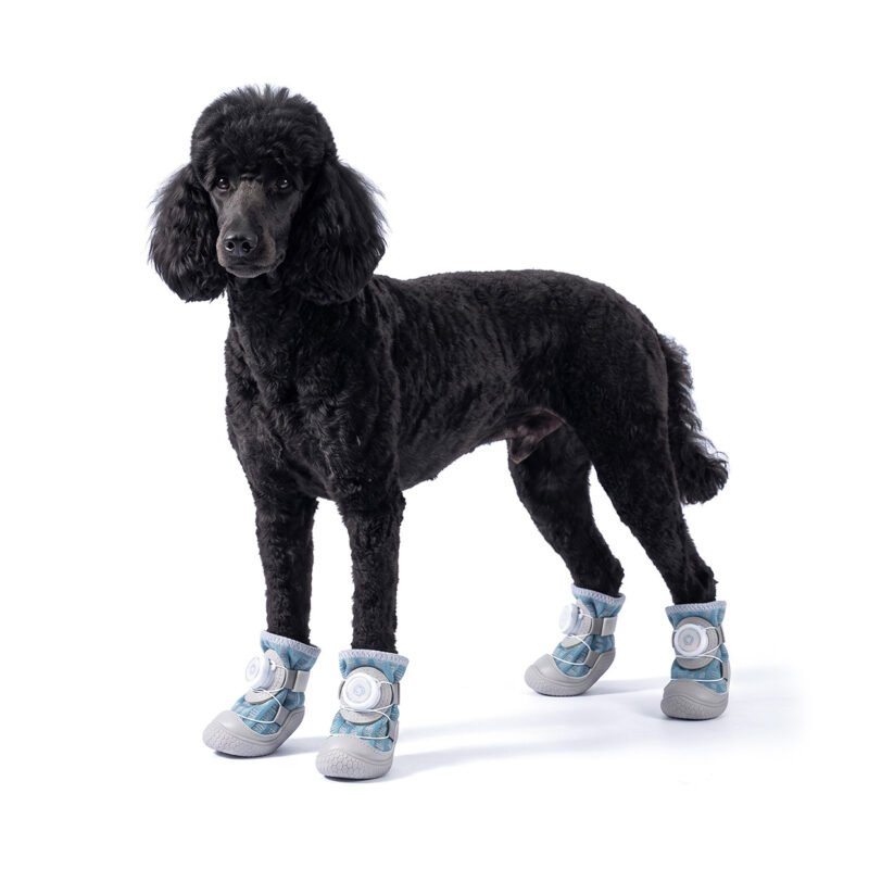 A black standard Poodle standing on a white background wearing denim blue dial-system dog shoes.