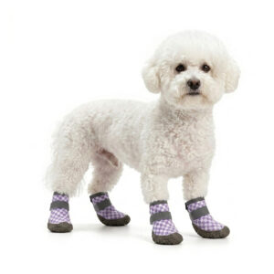 A white Bichon Frise dog standing wearing smile checker printed taro purple double wrap strap stay-on puppy shoes.