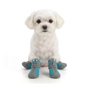Breathable Zipper Dog Shoes on Maltese A small white Maltese sitting comfortably wearing teal easy-on-off small dog shoes with secured ankle straps.