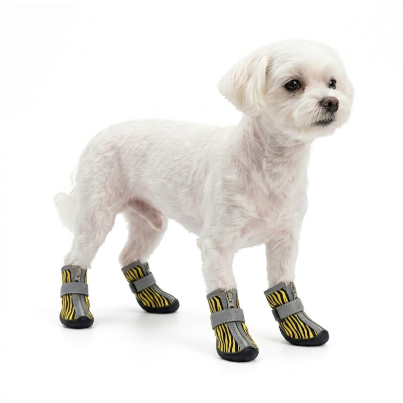 Easy-On-Off Zipper Shoes for Dogs A small white Maltese dog standing comfortably in yellow tiger stripe easy-on-off zipper shoes for dogs.