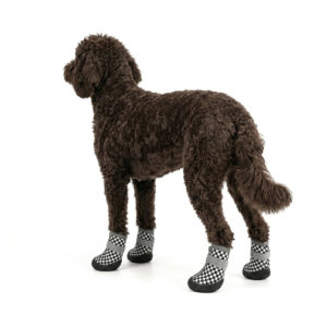 Retro Checker Easy-On Zipper Dog Boots Rear view of a dark brown Poodle wearing retro checker easy-on zipper dog boots with gray reflective straps.