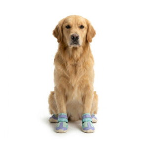 Purple Hot Weather Hiking Paw Protectors A golden retriever sitting down while wearing purple and mint green hot weather paw protectors for hiking.