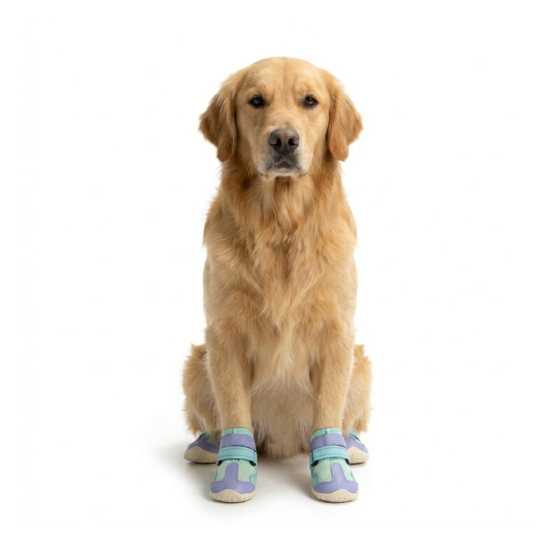 Purple Hot Weather Hiking Paw Protectors A golden retriever sitting down while wearing purple and mint green hot weather paw protectors for hiking.