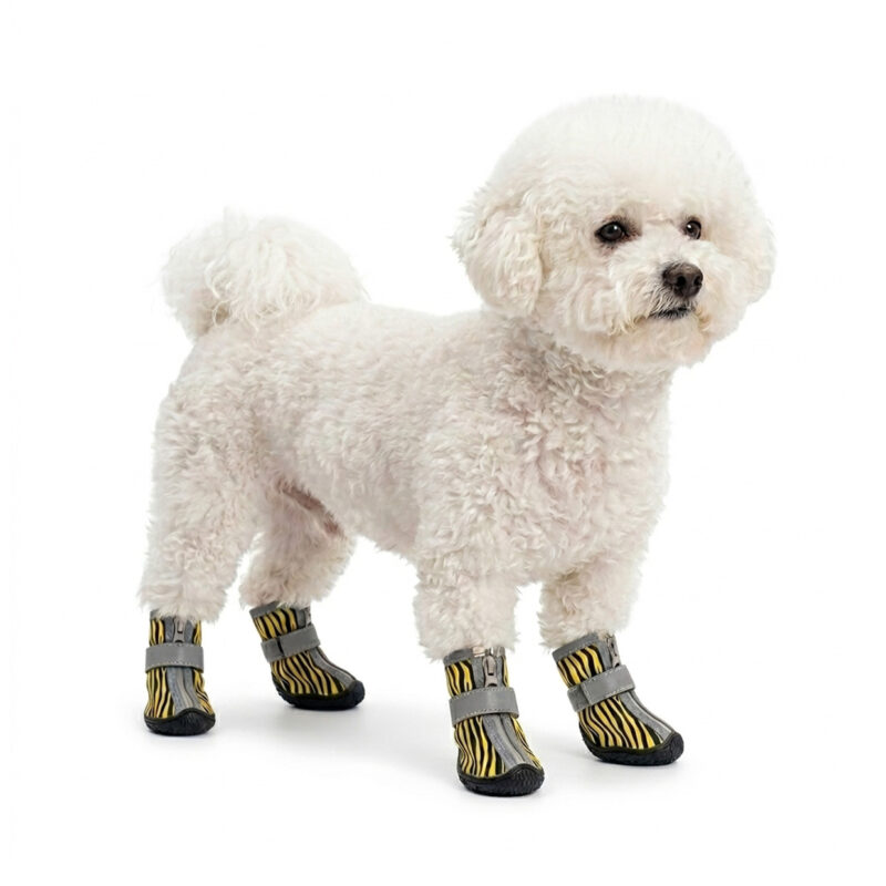Tiger Stripe Hybrid Mesh Zipper Dog Shoes A small white Bichon Frise dog standing while wearing yellow tiger stripe hybrid mesh zipper dog shoes.
