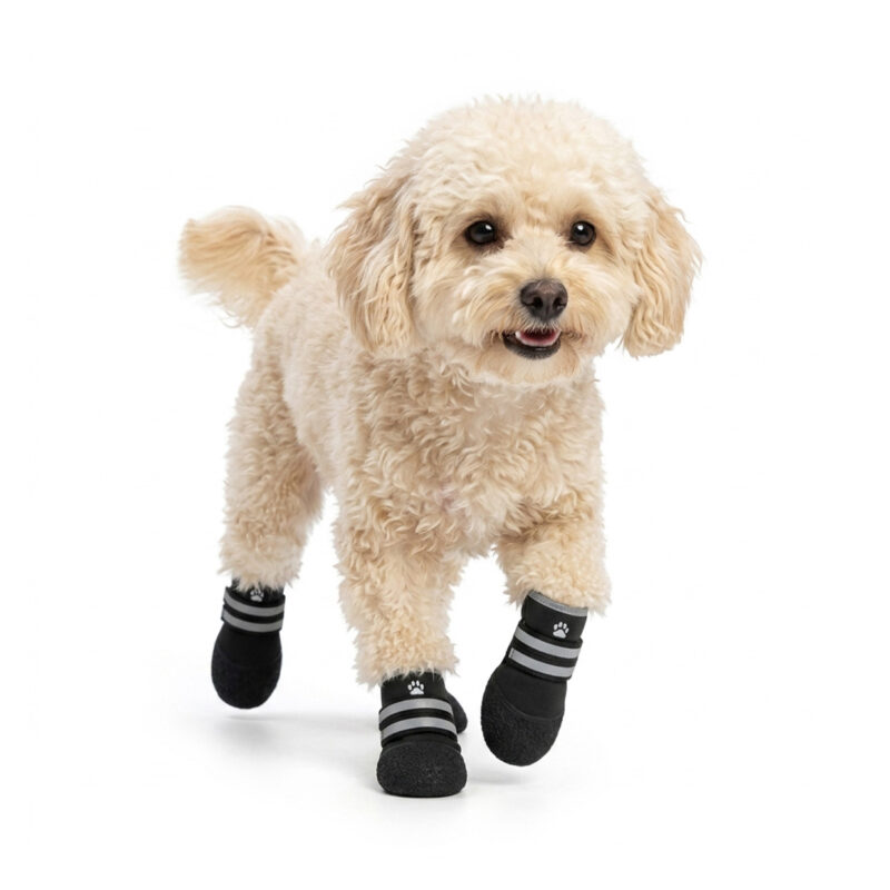 Black Lightweight Flexible Shoes for Dogs A small cream Poodle dog walking forward while wearing all-black lightweight flexible shoes for dogs.