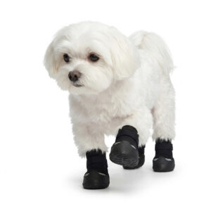 Black No Slip Dog Shoes with Toe Guard A small white Maltese dog walking forward in black no slip dog shoes with toe guard defense systems.
