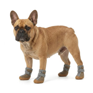 Paw Clad Mesh Boots on French Bulldog A French Bulldog standing safely in brown outdoor dog shoes for hot pavement on a clean studio surface.