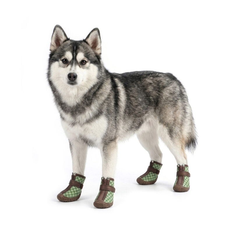 Gray and Olive Printed Waterproof Dog Shoes A grey and white Siberian Husky dog standing wearing smile checker gray and olive printed waterproof dog shoes.