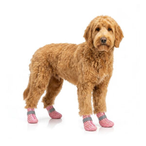 Pink Checker Printed Waterproof Dog Shoes An apricot Goldendoodle standing on a white backdrop wearing pink checker printed waterproof dog shoes.