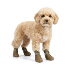 Khaki Tan Rainy Day Walking Dog Shoes A small apricot Toy Poodle wearing monogram khaki tan rainy day walking shoes for dogs with leather mudguards.