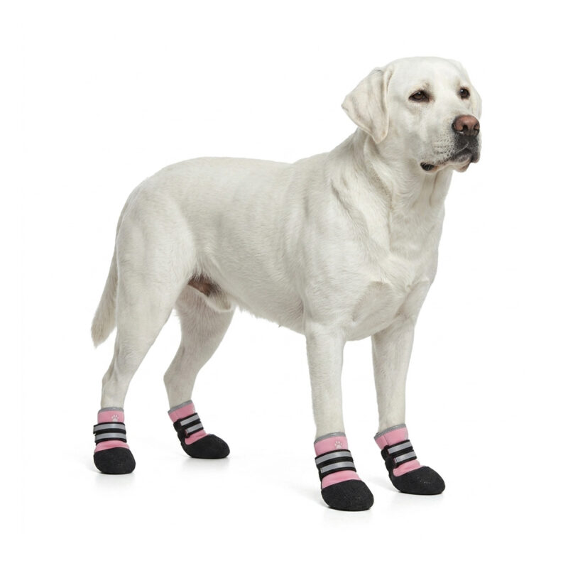 Pink Rainy Day Waterproof Pet Shoes A light yellow Labrador Retriever standing wearing pink rainy day waterproof pet shoes featuring raised rubber outsoles.