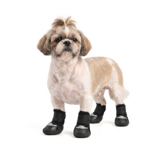 A small tan and white Shih Tzu dog standing wearing stealth black reflective breathable dog shoes with silver accents.