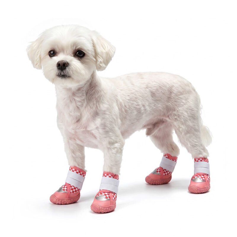 Red Checker Reflective Waterproof Dog Shoes on Maltese A small white Maltese dog standing on a white background wearing red checker reflective waterproof dog shoes.