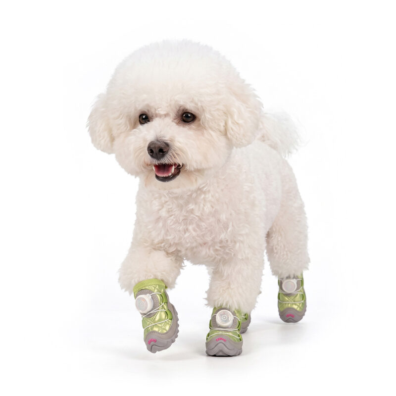 Mint Green Stay-On Dial-System Puppy Shoes on Bichon Frise A small white Bichon Frise dog moving forward on a white background wearing mint green stay-on dial-system puppy shoes.