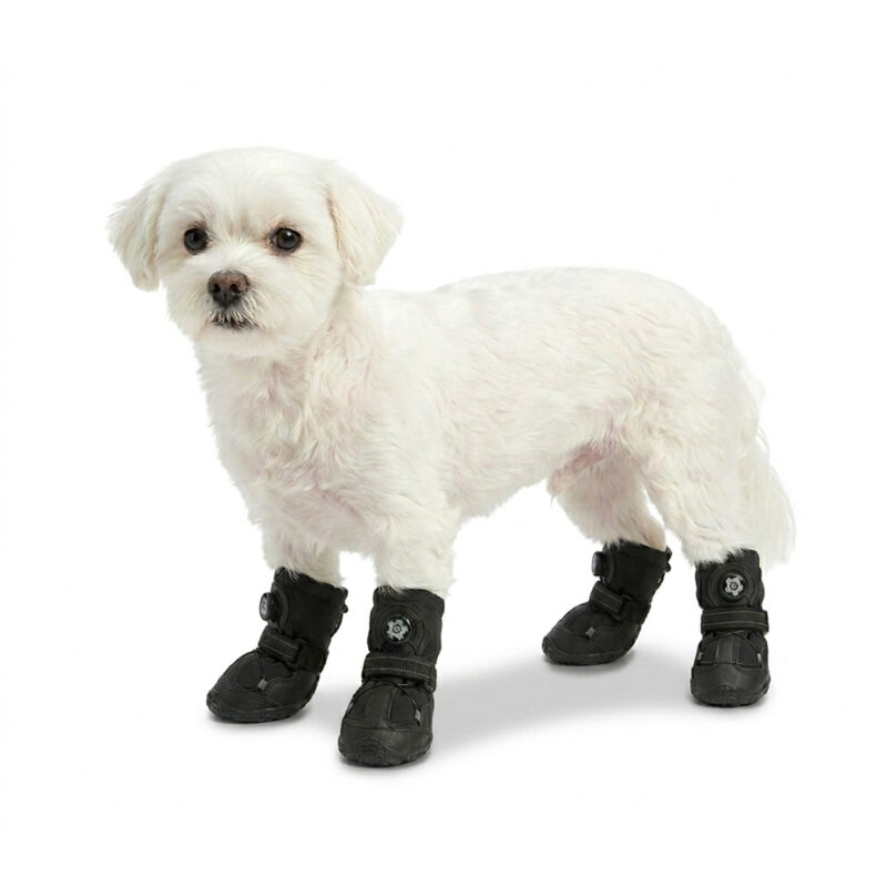 A small white Maltese dog standing comfortably in all-black stay-on dog shoes for active dogs with dial lock cables.