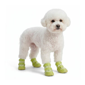 A small white Bichon Frise dog standing wearing neon lime stay-on summer shoes for dogs with double straps.