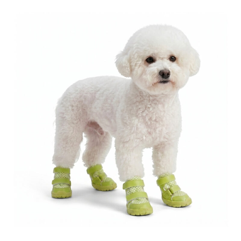 A small white Bichon Frise dog standing wearing neon lime stay-on summer shoes for dogs with double straps.