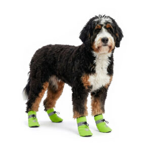 A black and tan fluffy dog standing while wearing lime green stay-on winter shoes for small dogs with rubber soles.
