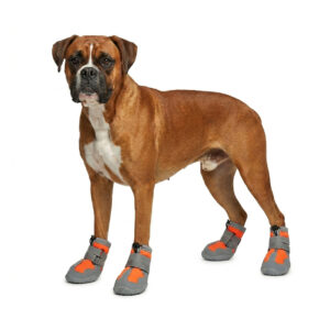 Orange Waterproof High-Top Dog Shoes on Boxer A tan Boxer dog standing while wearing vibrant orange waterproof high-top dog shoes on a clean white backdrop.