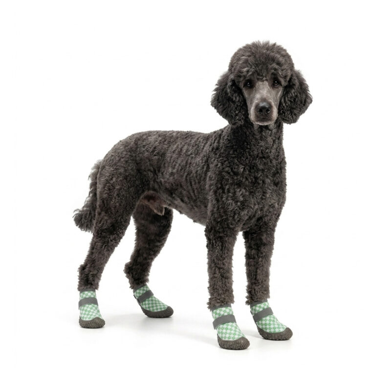 A dark grey standard Poodle standing wearing checker printed sage green waterproof small dog walking shoes.