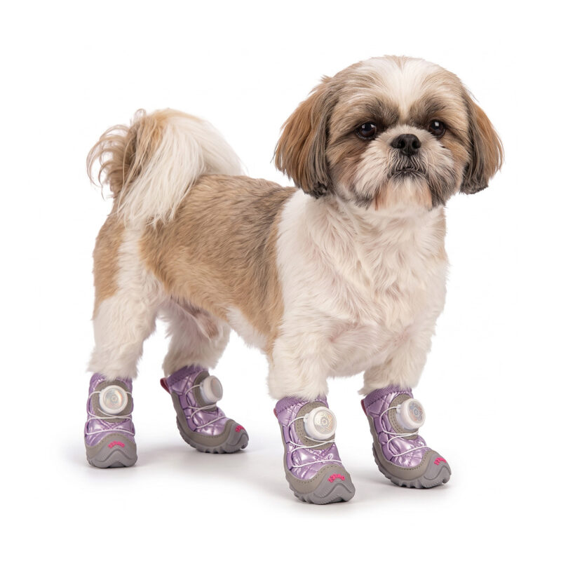 Taro Purple Winter Waterproof Dog Shoes on Shih Tzu A small tan and white Shih Tzu dog standing on a white background wearing taro purple winter waterproof dog shoes.