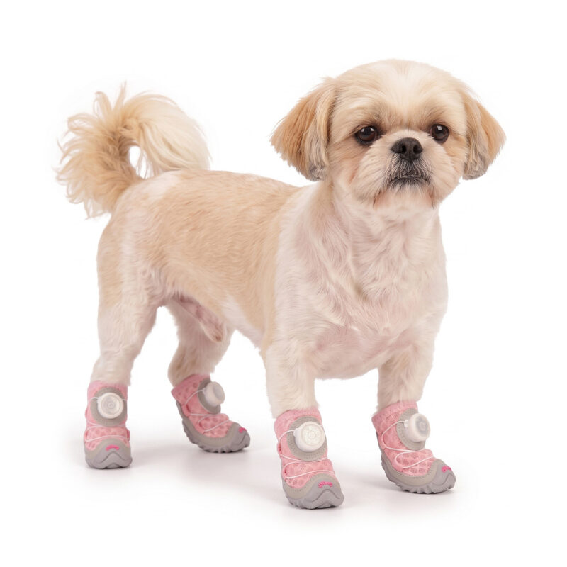Blush Pink Airflow Circulation Dog Footwear on Shih Tzu A small tan and white Shih Tzu standing wearing blush pink airflow circulation dog footwear with gray outsoles.
