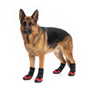 Anti-Slip Outdoor Dog Boots On German Shepherd Breed German Shepherd showcasing anti-slip outdoor dog boots in black and red on a white background.