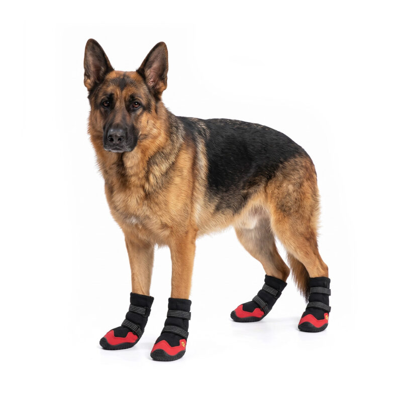 Anti-Slip Outdoor Dog Boots On German Shepherd Breed German Shepherd showcasing anti-slip outdoor dog boots in black and red on a white background.