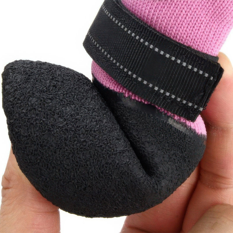Hand squeezing the highly flexible and waterproof molded latex bottom of anti-slip socks for active dogs.