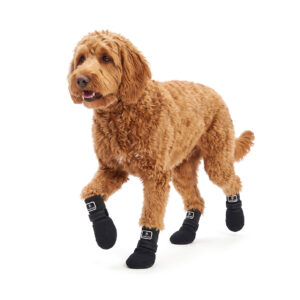 Black Anti-Slip Dog Socks on Goldendoodle Goldendoodle mid-stride wearing stealth black anti-slip socks for active dogs to prevent sliding.