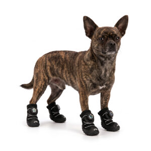 Stealth Black Cooling Summer Dog Shoes on Chihuahua A brindle Chihuahua standing on a white background wearing stealth black cooling summer dog shoes.