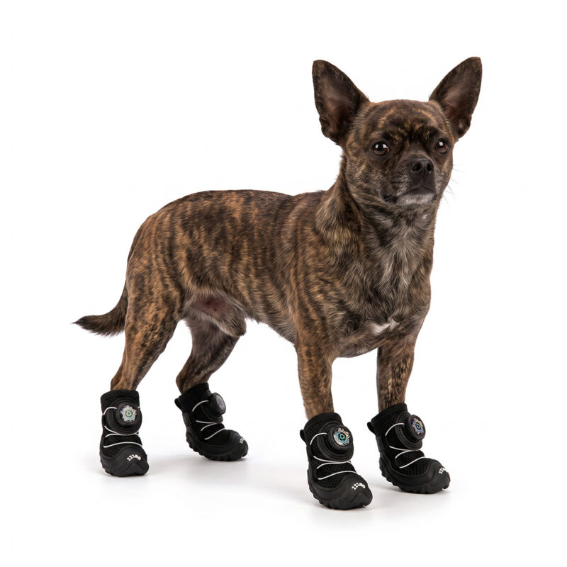 Stealth Black Cooling Summer Dog Shoes on Chihuahua A brindle Chihuahua standing on a white background wearing stealth black cooling summer dog shoes.