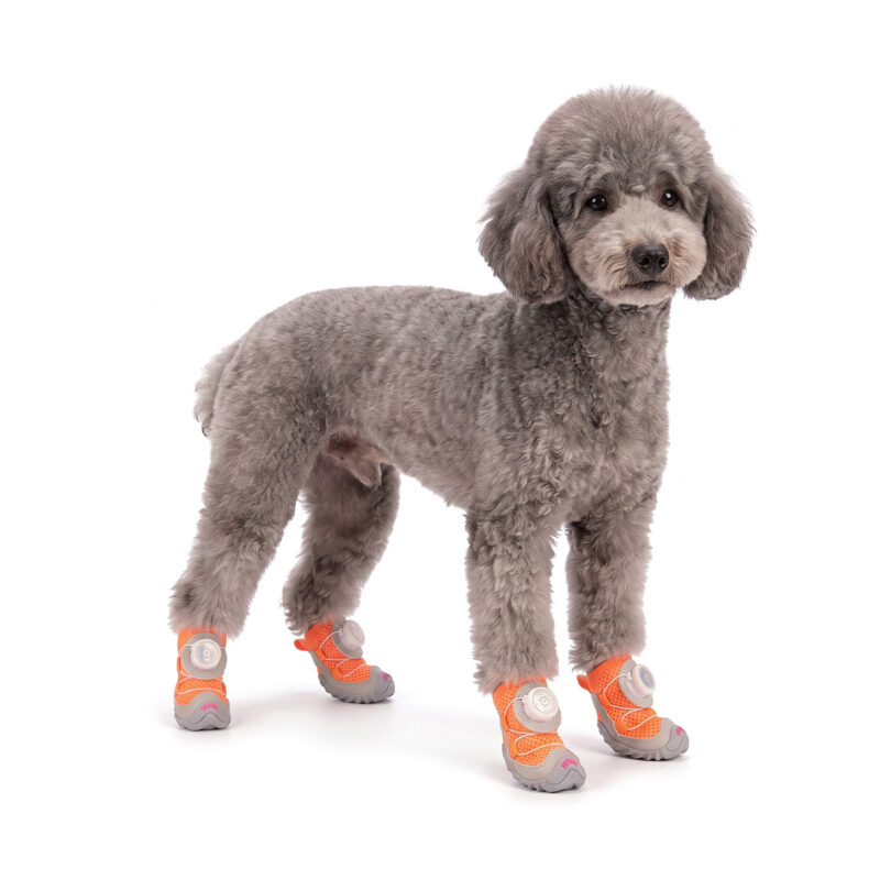 Tangerine Orange Cooling Summer Dog Shoes on Poodle A grey Toy Poodle standing on a white background wearing tangerine orange cooling summer dog shoes.