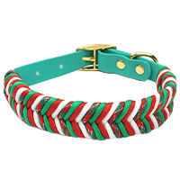 Dog collars category icon