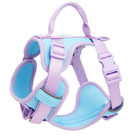 Dog harnesses category icon