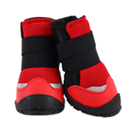 Dog shoes category icon