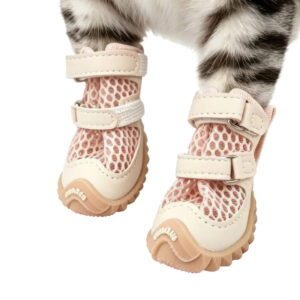 Anatomical Fit Demonstration On Paws With Reflective Accents Close up view of dog shoes for hot pavement fitted on a pet showing reflective threads on the dual secure straps.