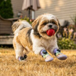 Shih Tzu running fast across backyard grass with a red ball wearing unicorn pink dog shoes that stay-on securely.