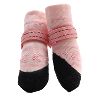 Dog socks category icon