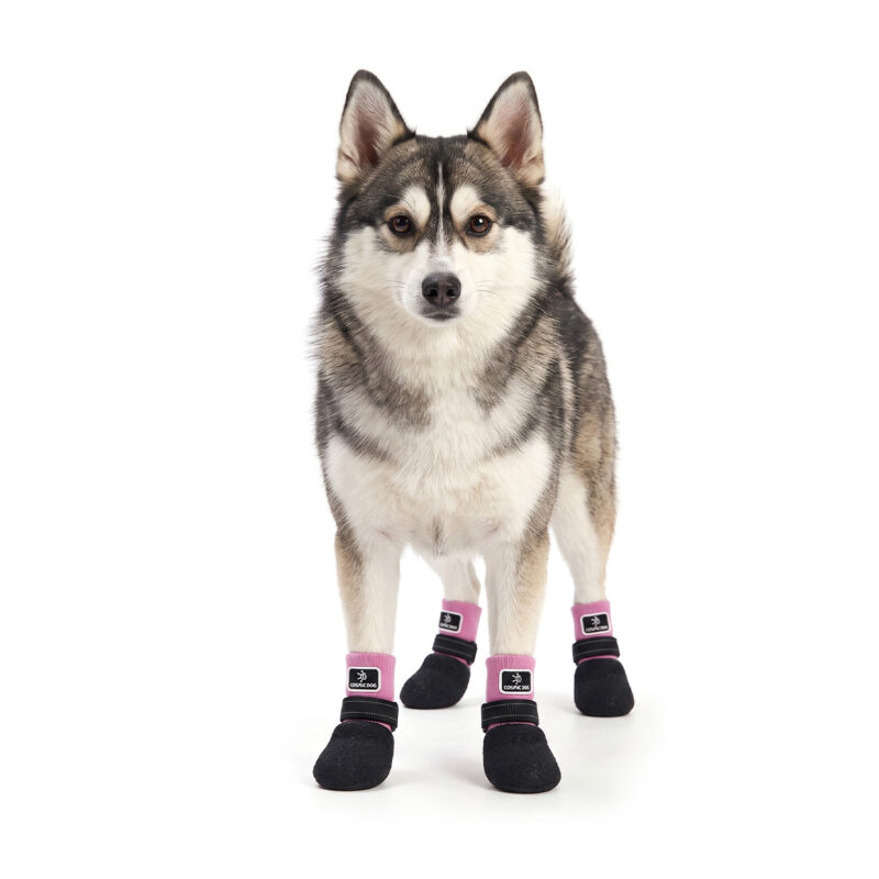 Pink Stay-On Dog Socks on Husky Husky wearing sakura pink dog socks with straps that stay on securely during indoor and outdoor activities.